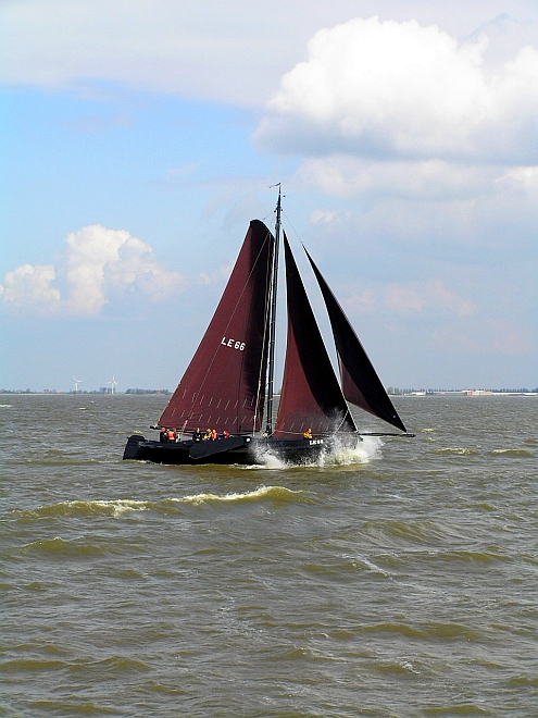 Lemsteraak_Ahoy2008 (73).jpg